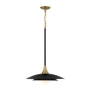 Luminaire — 46441-041