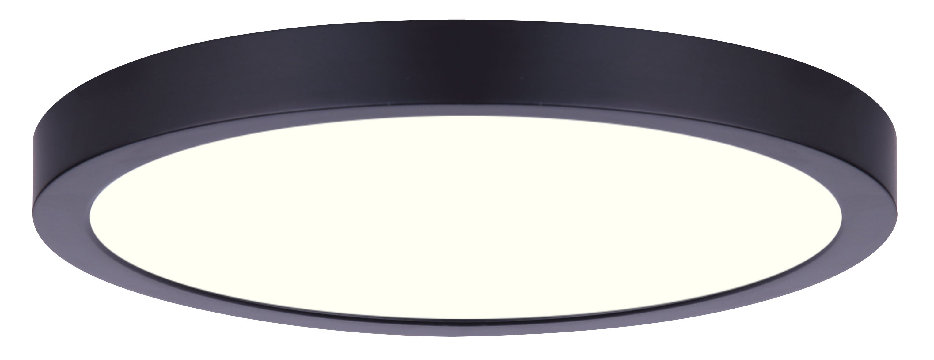 Plafonnier en noir — Canarm