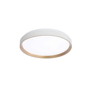 Plafonnier HUDSON en or et blanc mat — Dvi