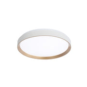Plafonnier HUDSON en or et blanc mat — Dvi