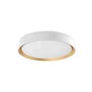 Luminaire — FM43916-WH/GD-5CCT
