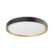 Luminaire — FM43920-BK/GD-5CCT