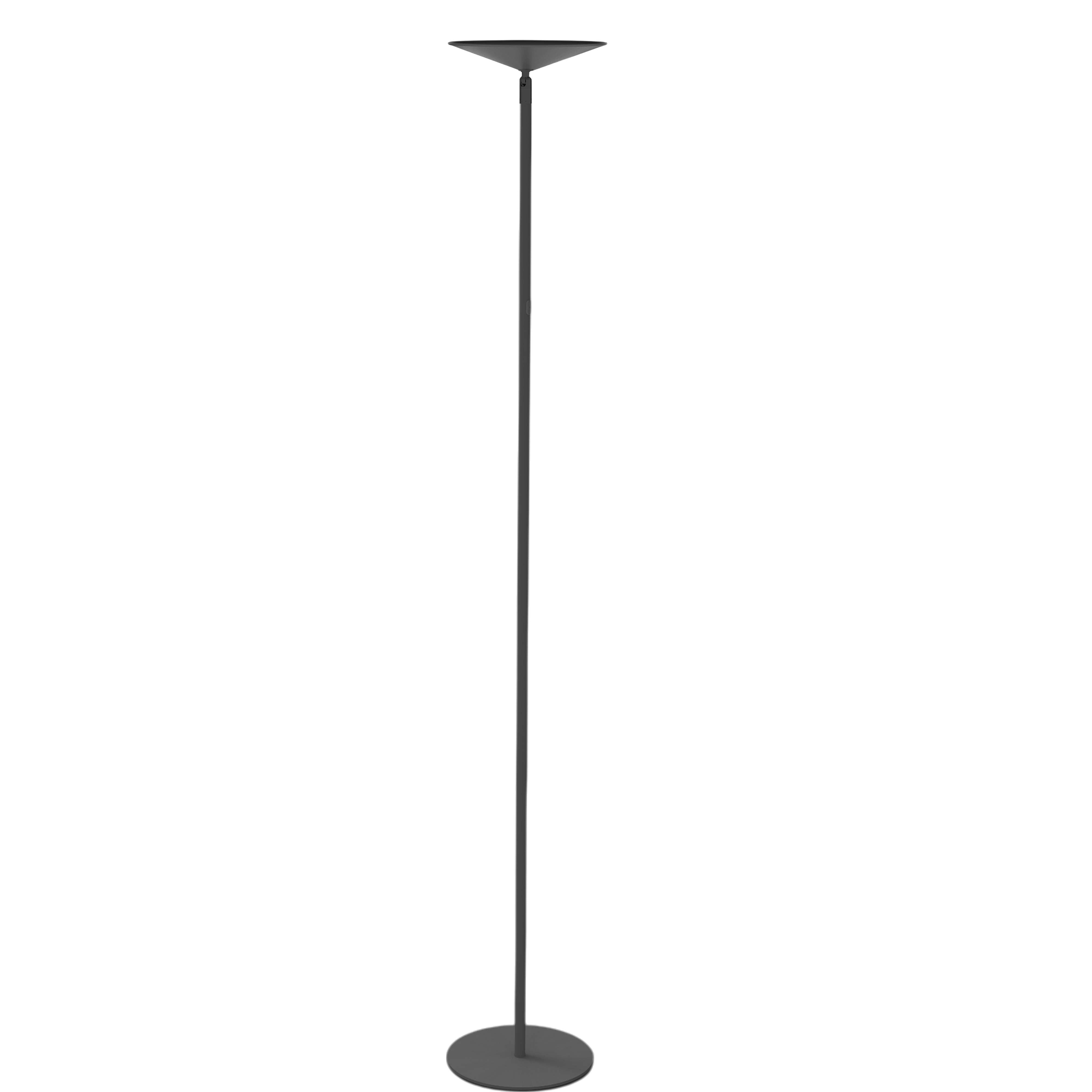 Lampe de plancher RAQUEL en noir mat Dainolite — vue supplémentaire