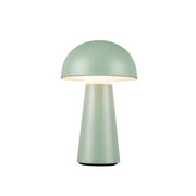 Luminaire — TL64108-GN