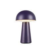 Luminaire — TL64108-NV
