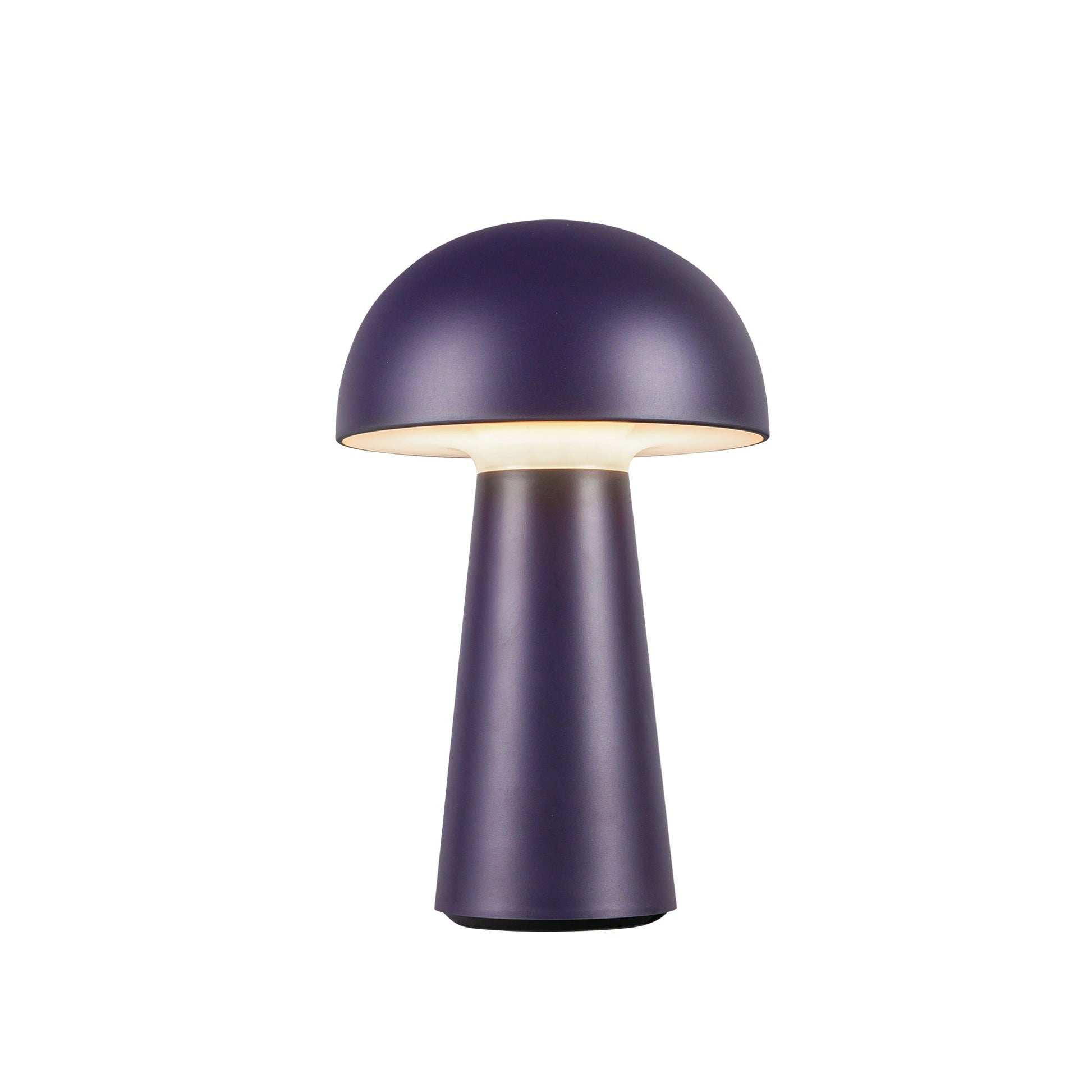 Luminaire — TL64108-NV