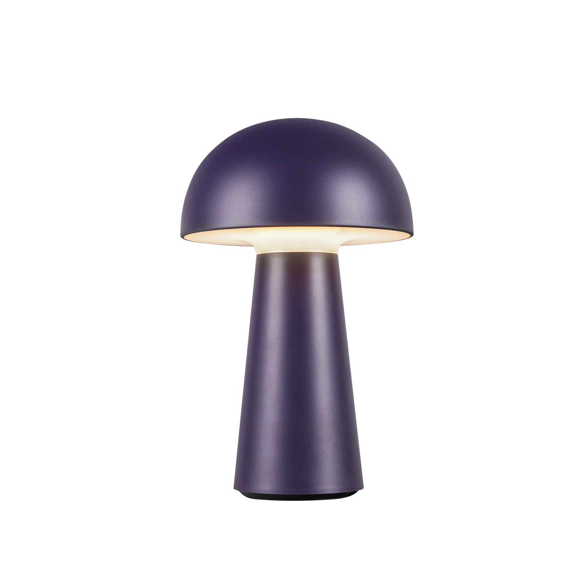 Luminaire — TL64108-NV