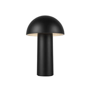 Luminaire — TL65210-BK