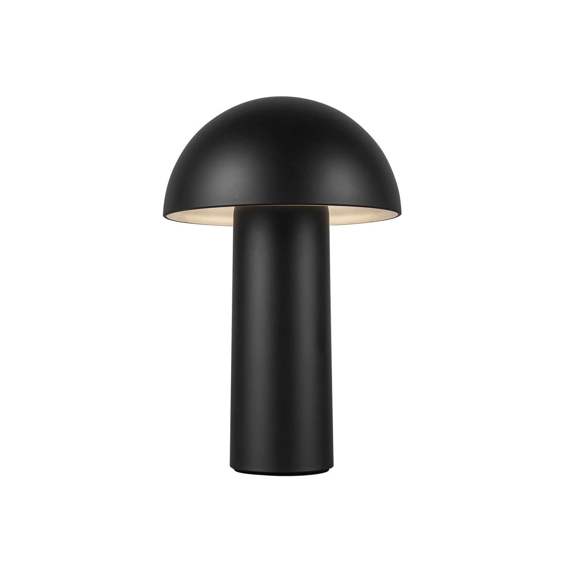 Luminaire — TL65210-BK