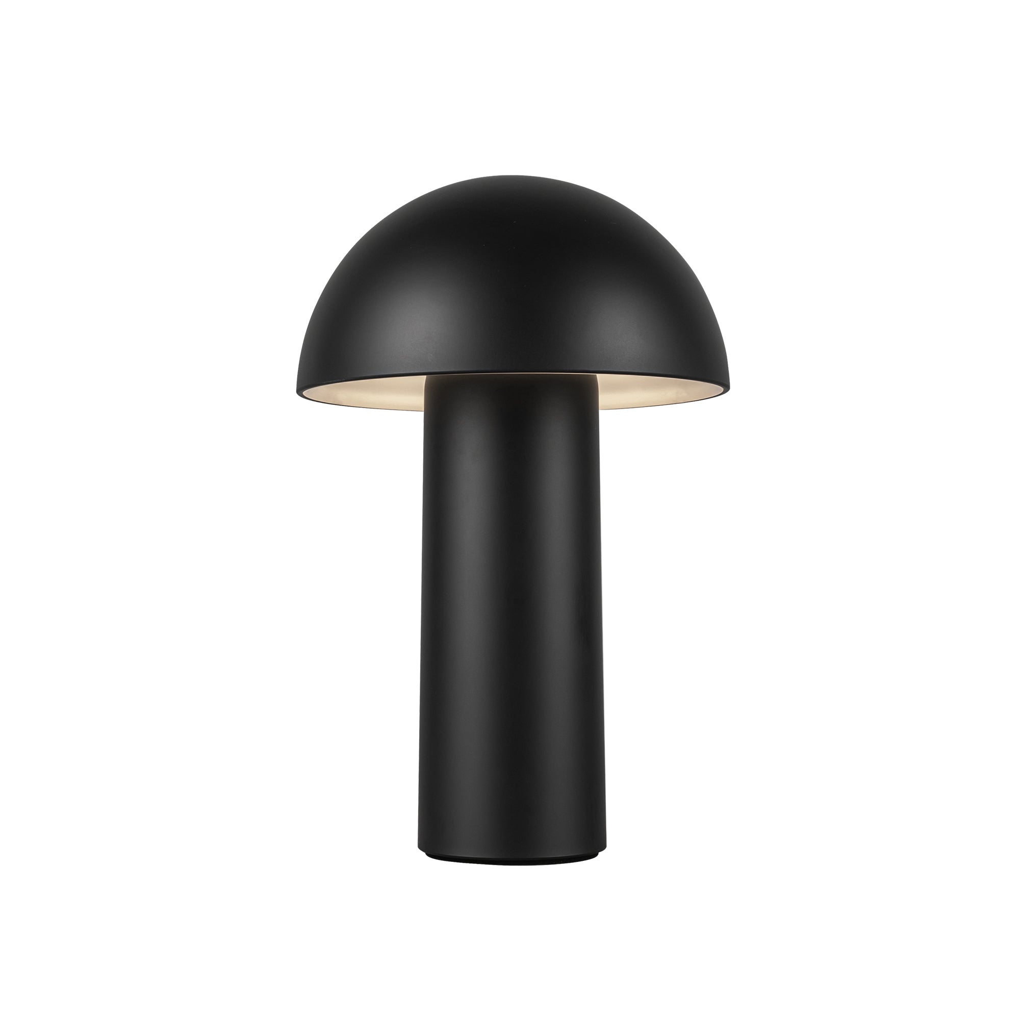 Luminaire — TL65210-BK