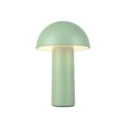 Luminaire — TL65210-GN