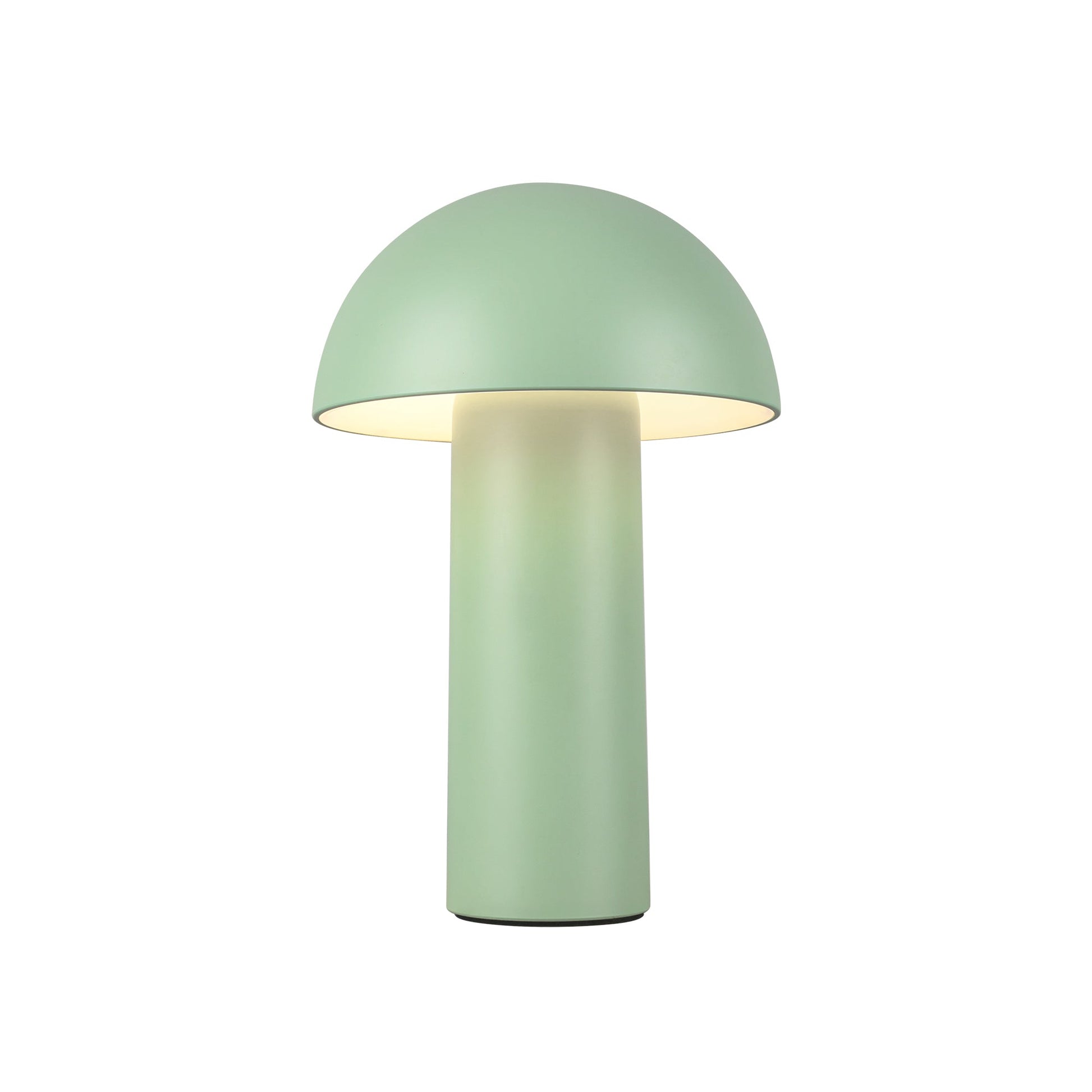 Luminaire — TL65210-GN