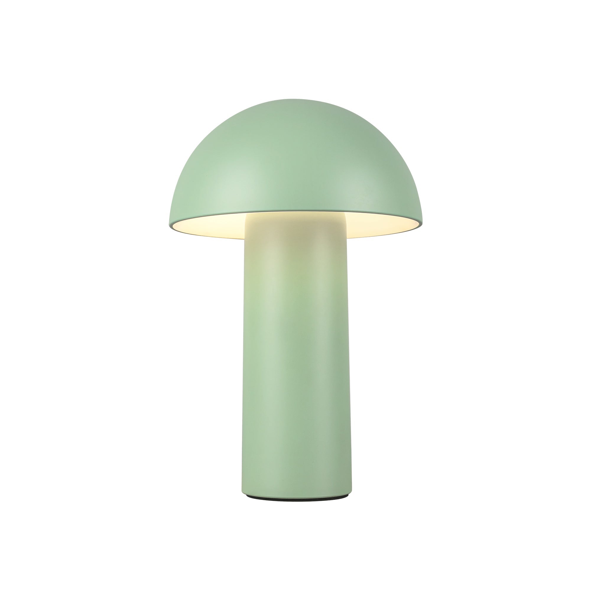 Luminaire — TL65210-GN