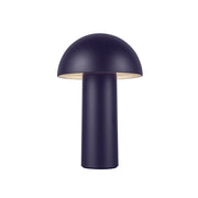 Luminaire — TL65210-NV