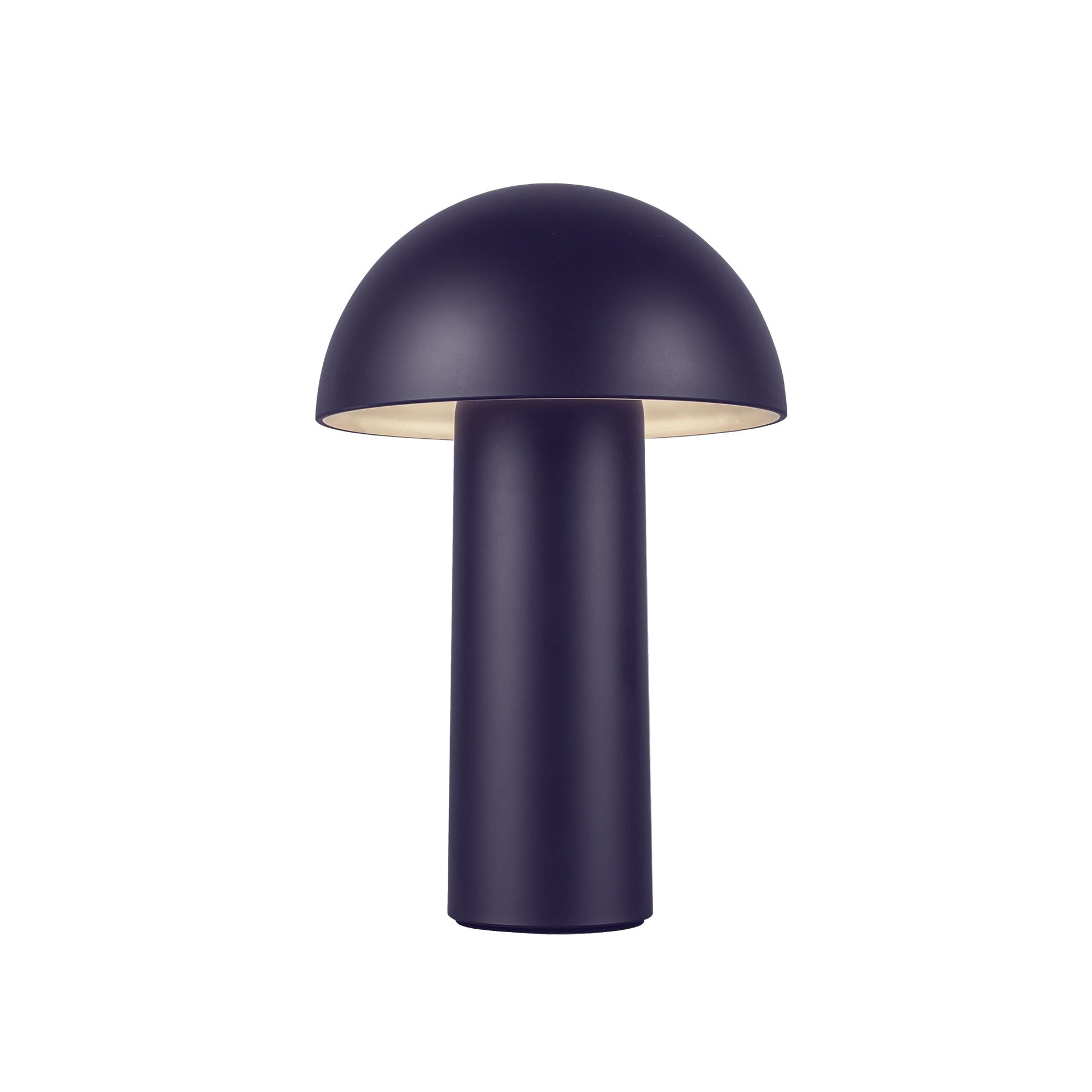 Luminaire — TL65210-NV