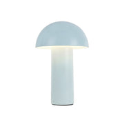Luminaire — TL65210-SY