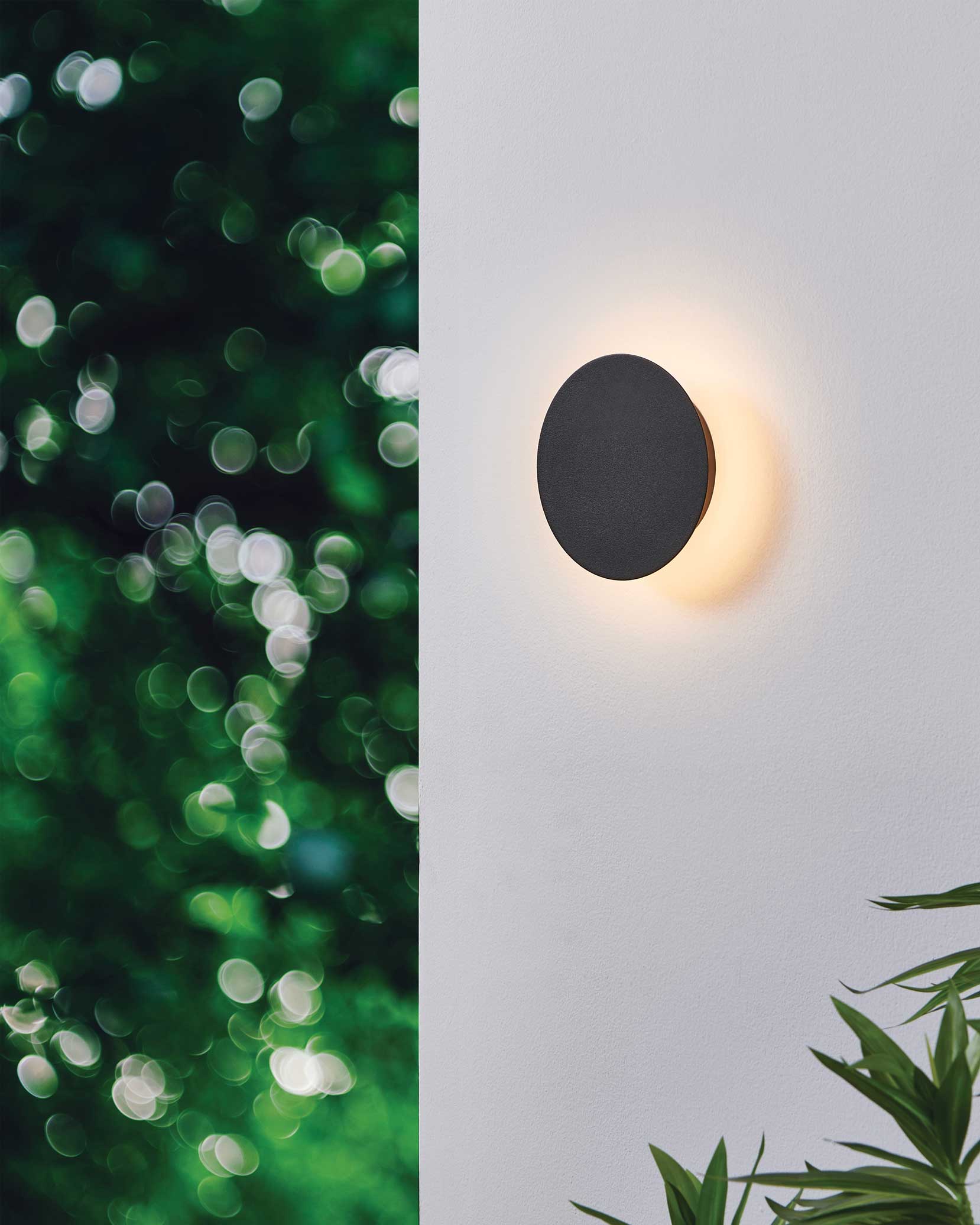 Applique murale ALAMILO en noir — 206911A — Luminaire Expert